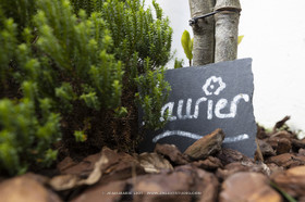 ANCRAGES VANNES - 2021