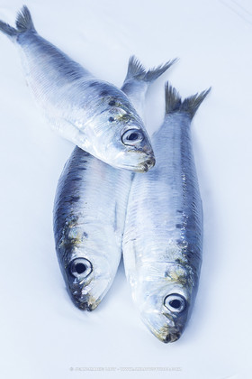 PHOTO © JEAN-MARIE LIOT - WWW.JMLIOT.COM