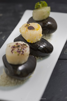 THIERRY GALAIS - LYCEE SAINT-IVY